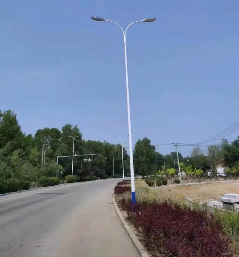 監控立桿與路燈桿 工廠直銷的高質量選擇，服務熱線 18954366397